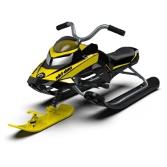 SKI-DOO 3-SKI RENEGADE